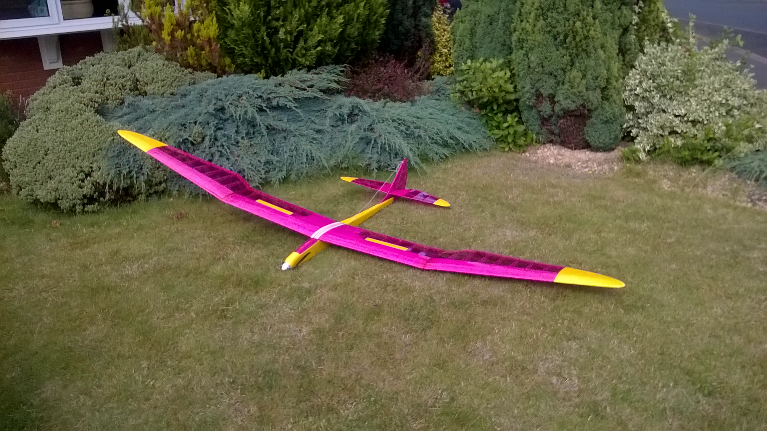  Bird of Time by Richard Baynham 