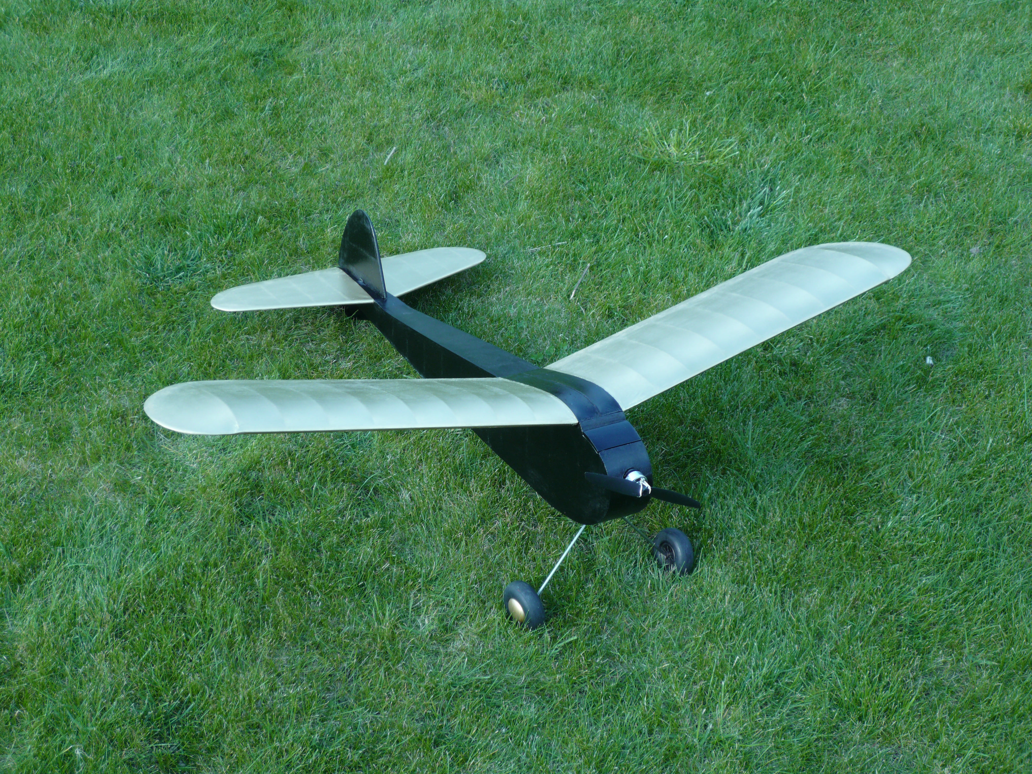  APS SImplex by André Bird 