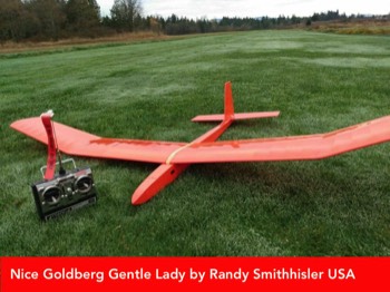  Nice Goldberg Gentle Lady by Randy Smithhisler 