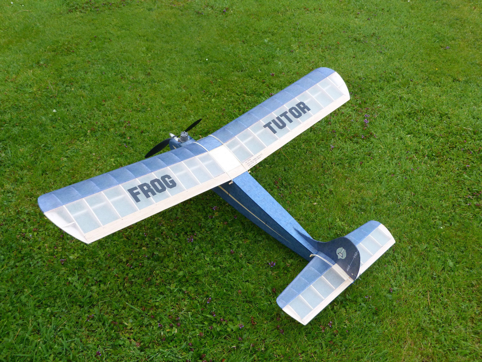  Frog Tutor by Neil Gillies (electric) 