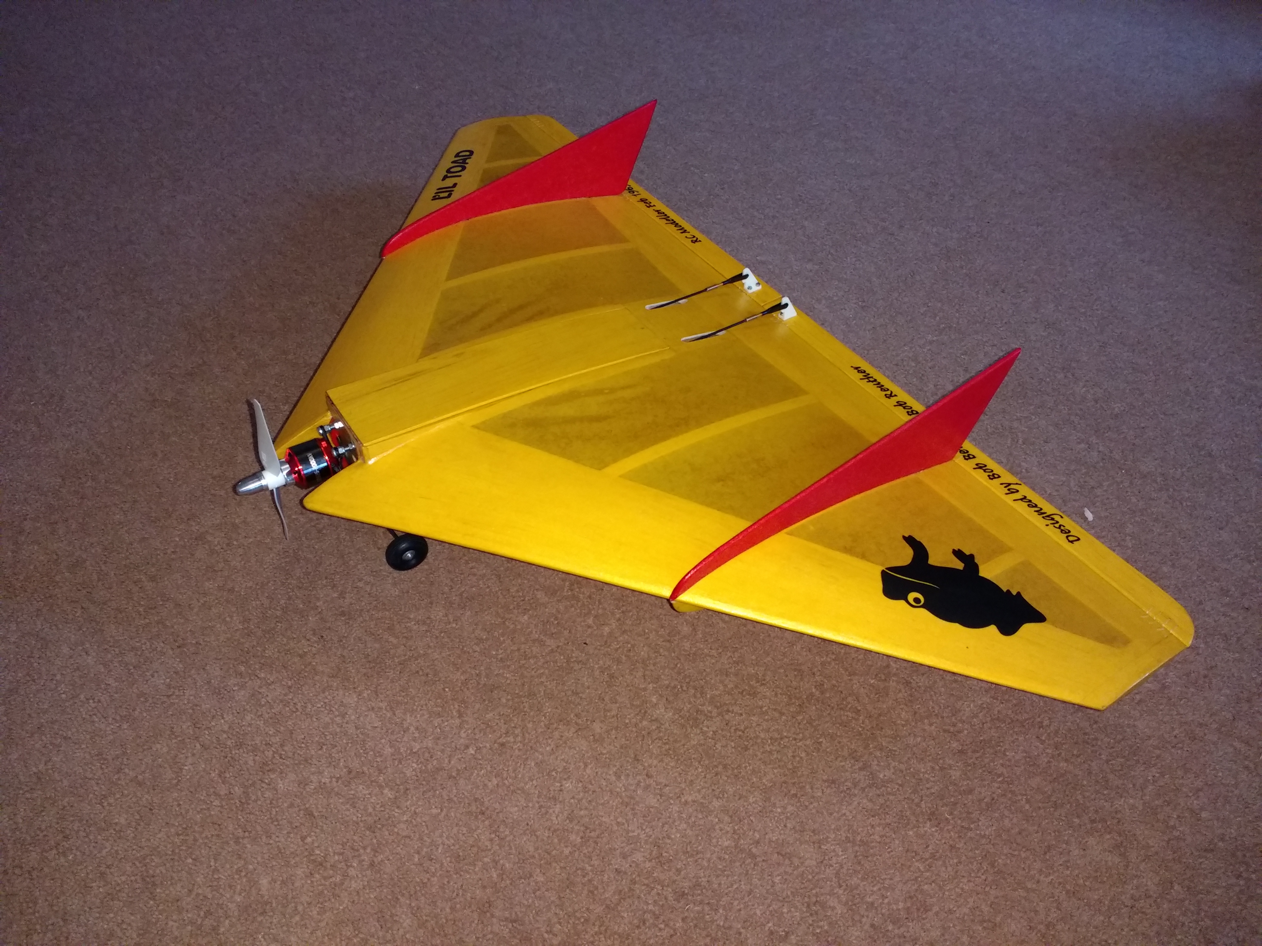  L'il Toad by Shaun Garrity 