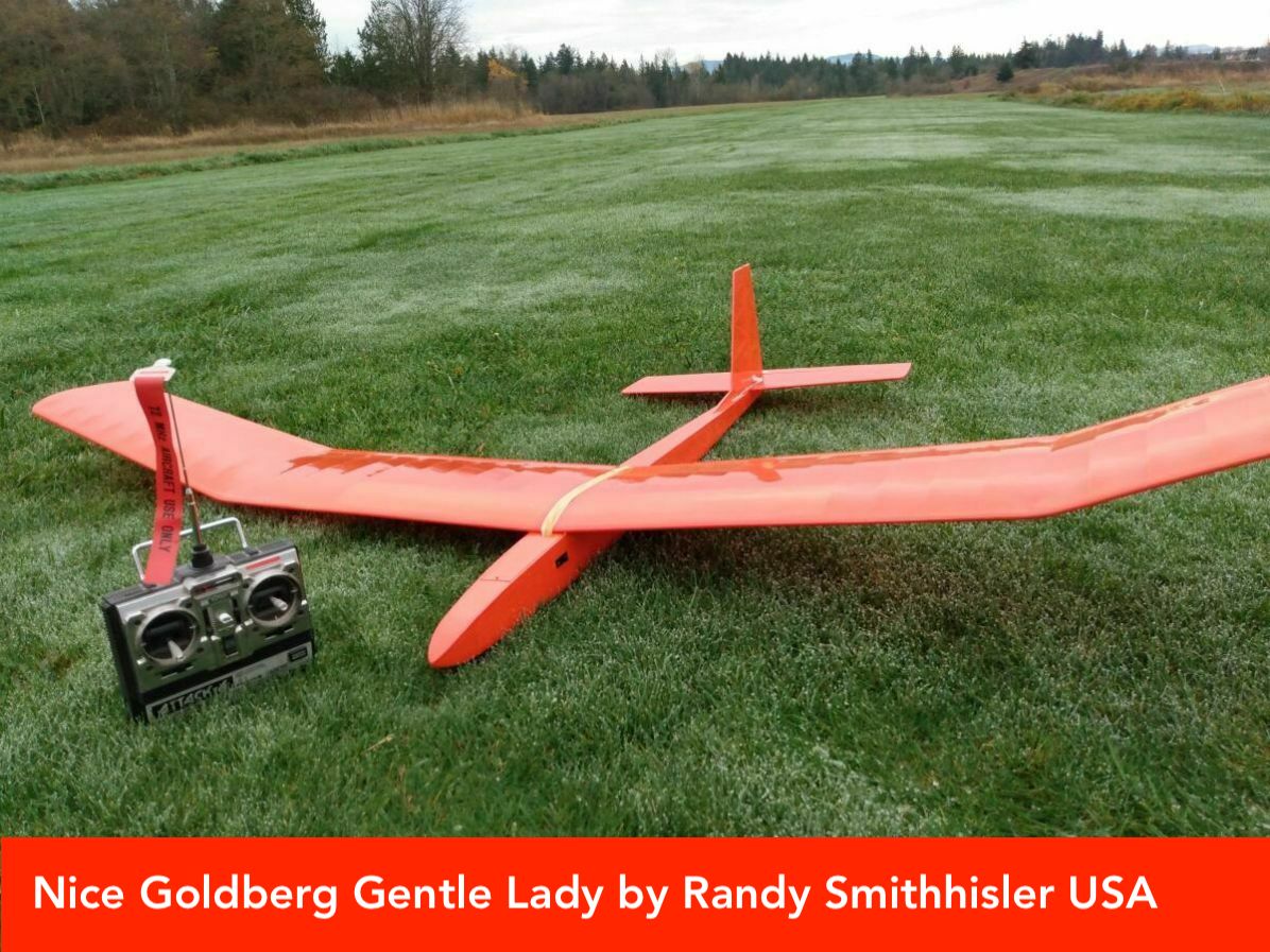  Nice Goldberg Gentle Lady by Randy Smithhisler 